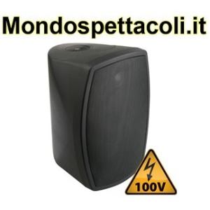 Cassa per utilizzo all'aperto 150W