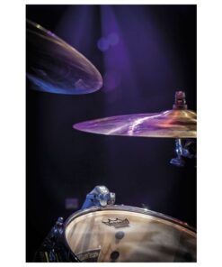 DCLM-60 Microfono professione strumentale