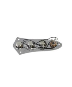 DIMAVERY Control plate for JB bass models