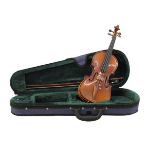 DIMAVERY Violin 1/4 with bow in case