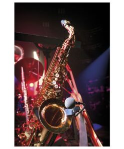 ECLM-70 Microfono professione strumentale