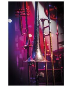 ECLM-70 Microfono professione strumentale