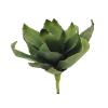 EUROPALMS Agave (EVA), green, 45cm