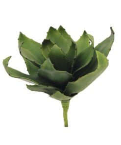 EUROPALMS Agave (EVA), green, 45cm