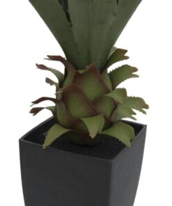 EUROPALMS Agave plant with pot, 75cm