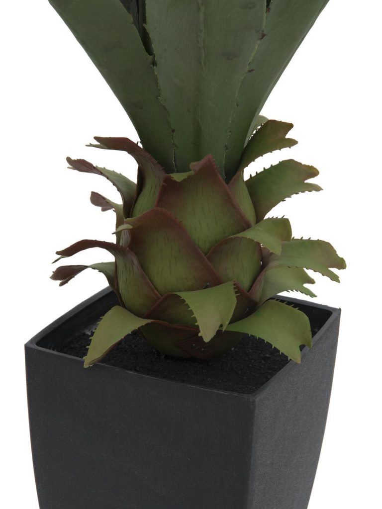 EUROPALMS Agave plant with pot, 75cm