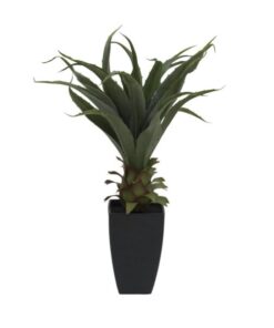 EUROPALMS Agave plant with pot, 75cm