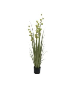EUROPALMS Allium Grass, 122cm
