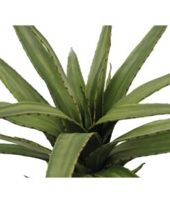 EUROPALMS Aloe (EVA), green, 50cm