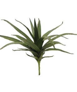 EUROPALMS Aloe (EVA), green, 50cm