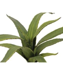 EUROPALMS Aloe (EVA), green, 66cm