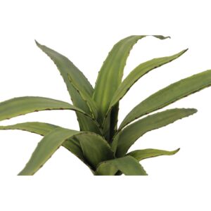 EUROPALMS Aloe (EVA), green, 66cm