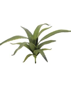 EUROPALMS Aloe (EVA), green, 66cm