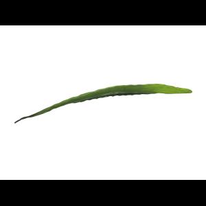 EUROPALMS Aloe leaf (EVA), green, 60cm
