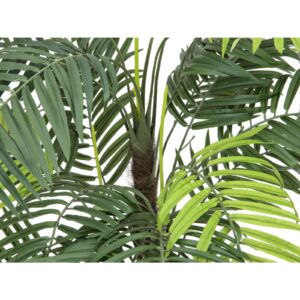 EUROPALMS Areca palm, 110cm