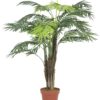EUROPALMS Areca palm, 110cm