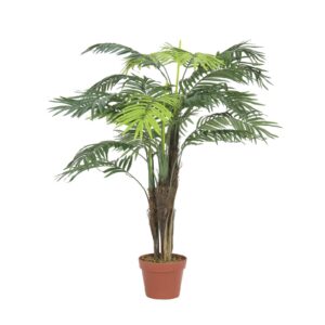 EUROPALMS Areca palm, 110cm