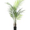EUROPALMS Areca palm with big leaves, 125cm