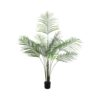 EUROPALMS Areca palm with big leaves, 185cm