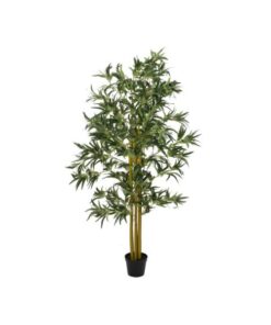 EUROPALMS Bamboo Multi Trunk, 180cm