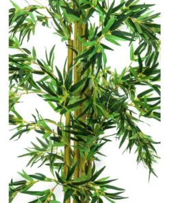 EUROPALMS Bamboo Multi Trunk, 210cm