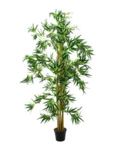 EUROPALMS Bamboo Multi Trunk, 210cm