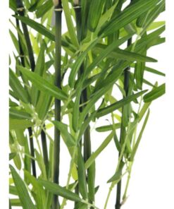 EUROPALMS Bamboo in Bowl, 120cm