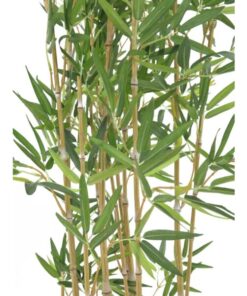 EUROPALMS Bamboo in Bowl, 150cm