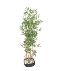 EUROPALMS Bamboo in Bowl, 150cm