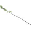 EUROPALMS Bamboo tube with leaves, 180cm, sixpack