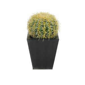 EUROPALMS Barrel Cactus, 27cm