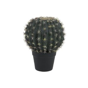 EUROPALMS Barrel Cactus, 34cm