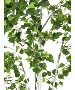 EUROPALMS Birch Tree, 150cm