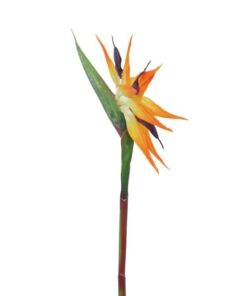 EUROPALMS Bird-of-paradise spray, orange, 95cm