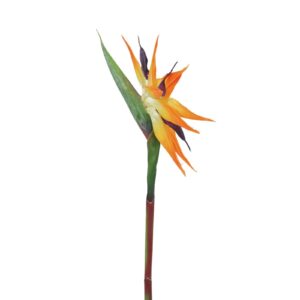 EUROPALMS Bird-of-paradise spray, orange, 95cm