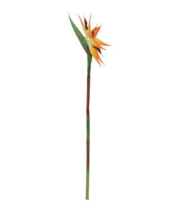 EUROPALMS Bird-of-paradise spray, orange, 95cm