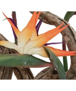 EUROPALMS Bird-of-paradise spray, orange, 95cm