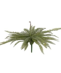 EUROPALMS Boston fern, green, 70cm