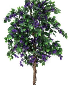 EUROPALMS Bougainvillea, lavender, 150cm