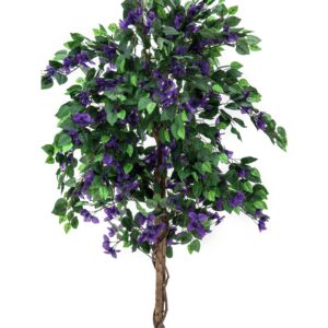 EUROPALMS Bougainvillea, lavender, 150cm