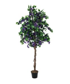 EUROPALMS Bougainvillea, lavender, 150cm