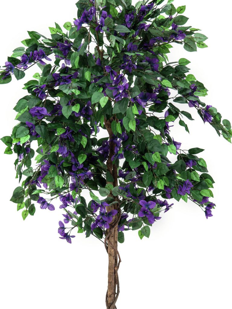 EUROPALMS Bougainvillea, lavender, 180cm
