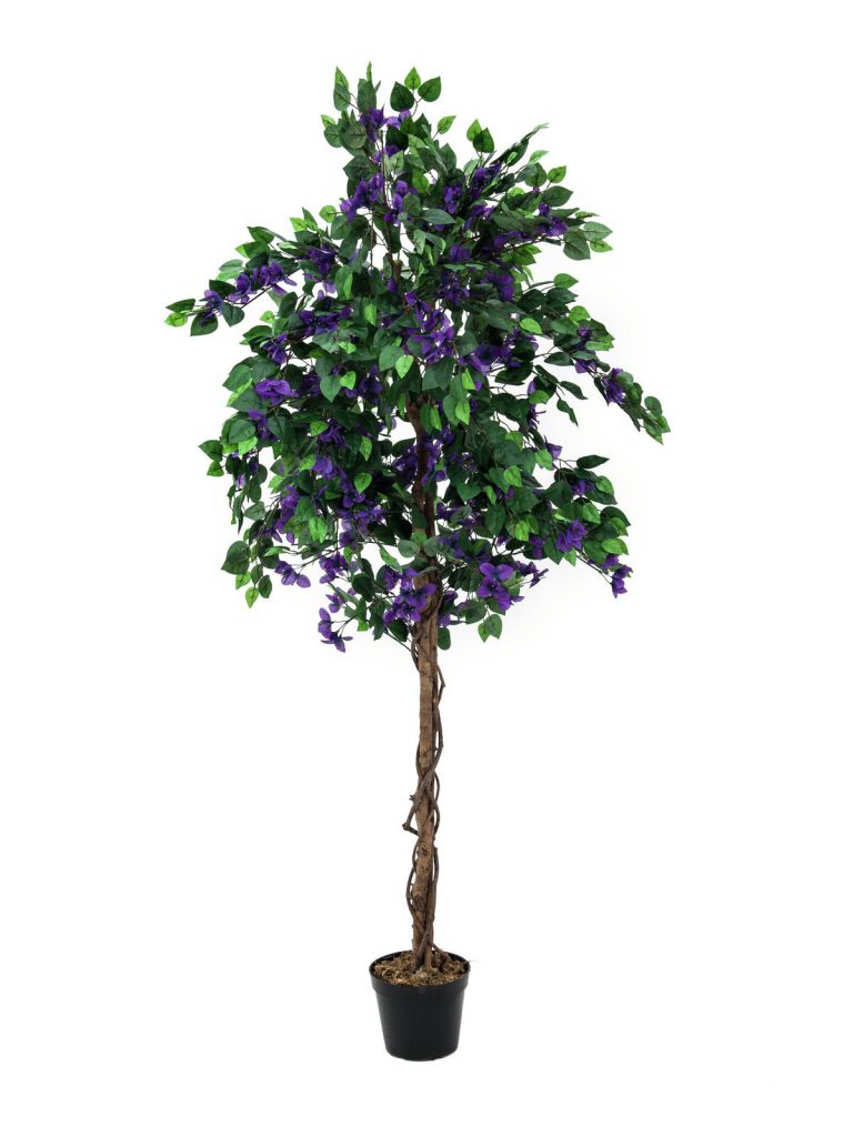 EUROPALMS Bougainvillea, lavender, 180cm