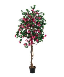 EUROPALMS Bougainvillea, magenta, 180cm