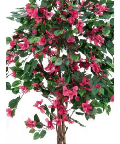 EUROPALMS Bougainvillea, red, 150cm