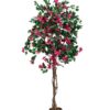 EUROPALMS Bougainvillea, red, 150cm