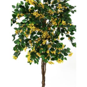 EUROPALMS Bougainvillea, yellow, 150cm