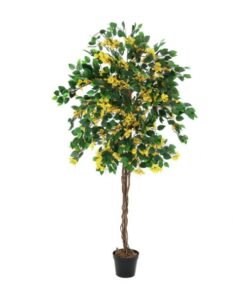 EUROPALMS Bougainvillea, yellow, 180cm