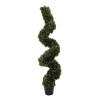 EUROPALMS Boxwood Spiral, 180cm