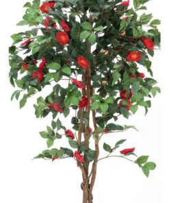 EUROPALMS Camelia red cemented 180cm